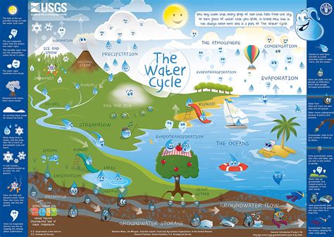 natural water cycle game